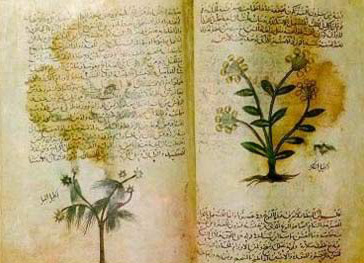 The 12th volume of the Encyclopedia (Maslik al- absr fi mamlik al- amsar) by Ibn Fadlallah alOmari
