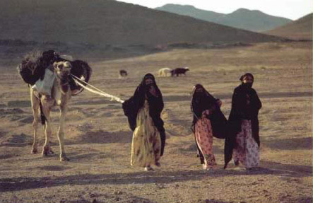 Three Bedouin Girls