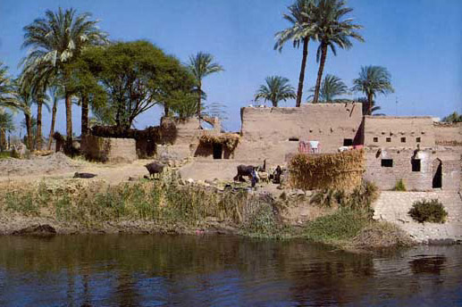 Daily Life Along the Nile