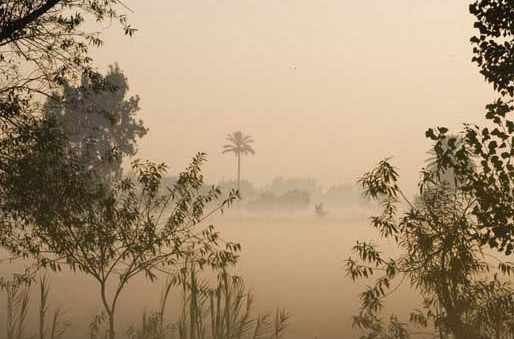 Nile Delta at Sunrise