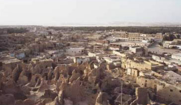 A view of Siwa City from  Shali